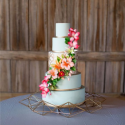 Gâteau de mariage Tropical